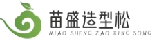 造型松-造型黑松-造型油松景观松庭院泰安松基地-山东苗盛园林