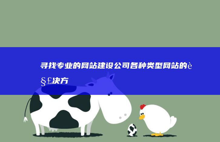 寻找专业的网站建设公司：各种类型网站的解决方案