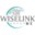 wiselink 知汇-全球合规认证和临床试验服务机构